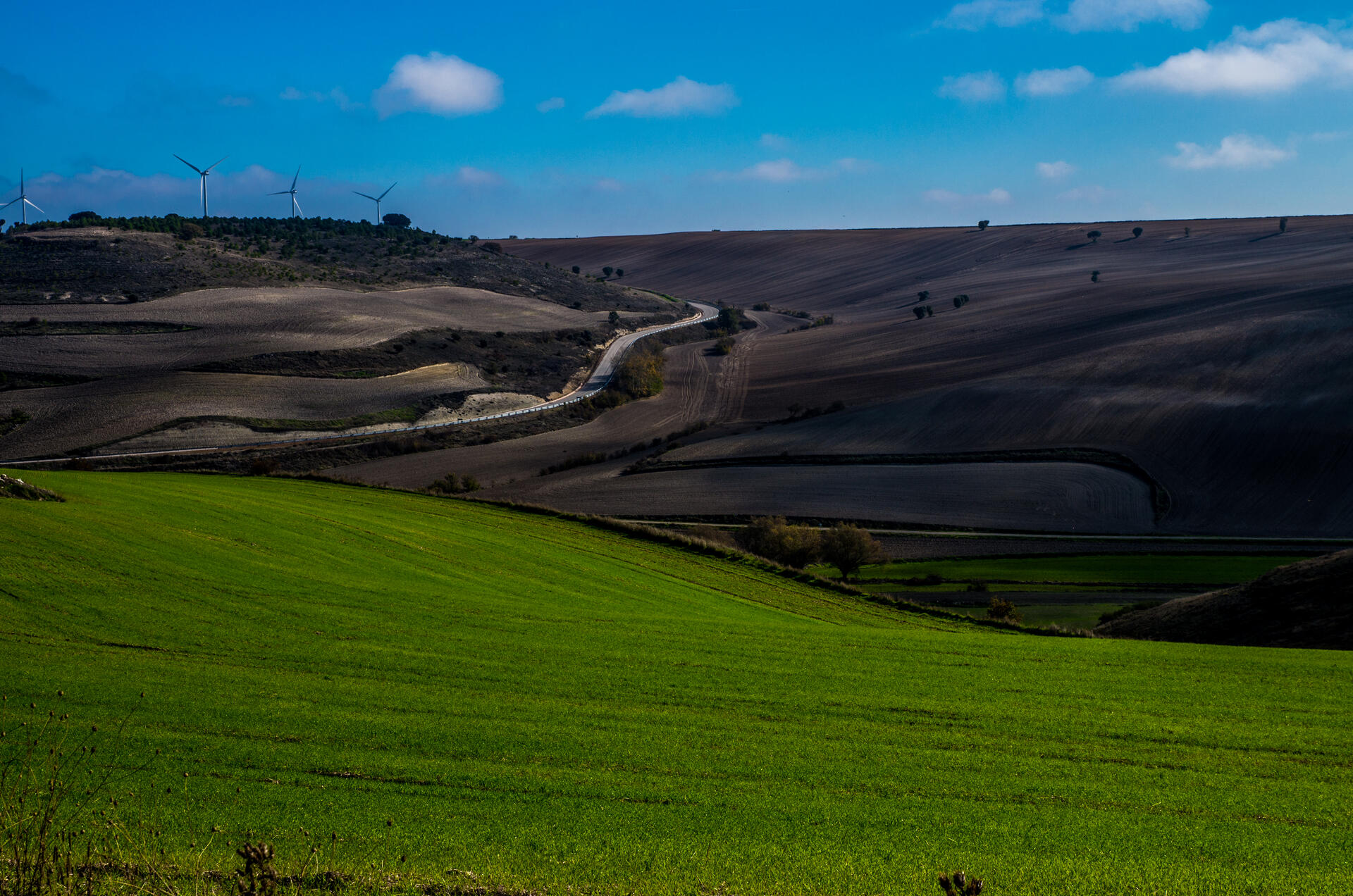 Montes