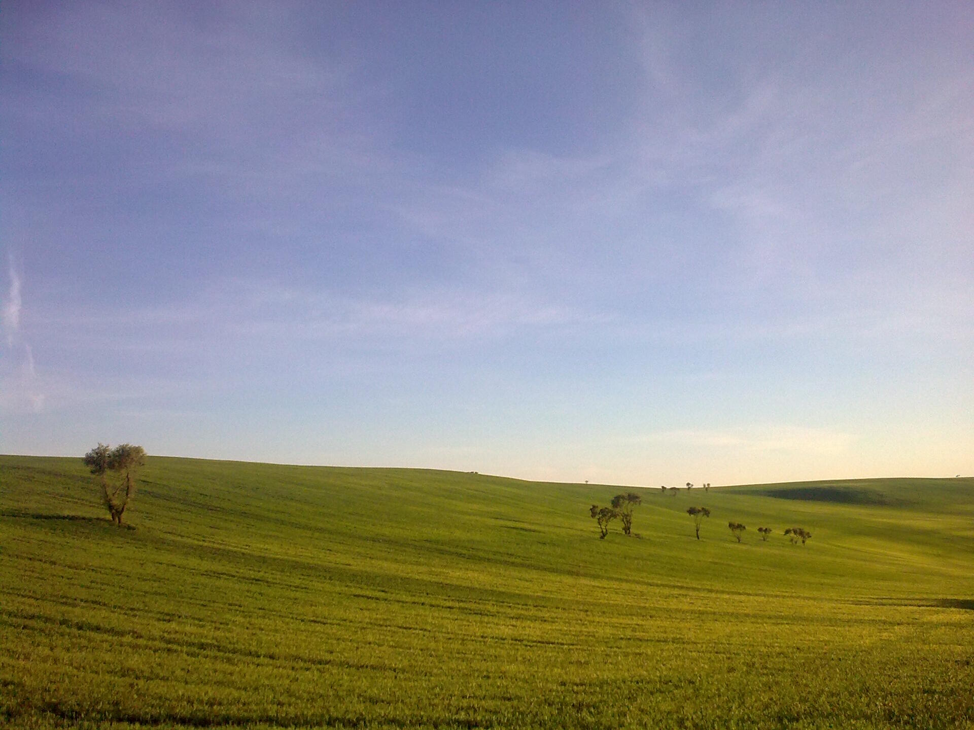 Serenidad en verde